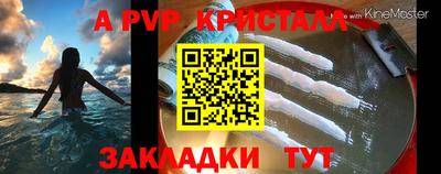спиды Пугачёв